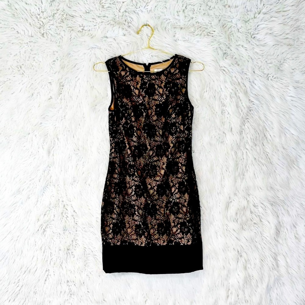 Cache lace overlay sheath dress